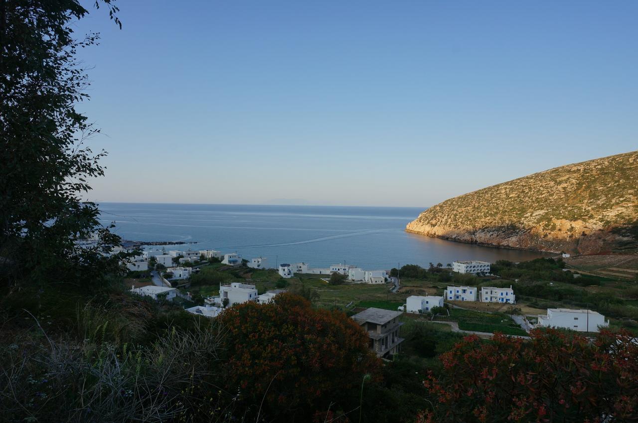 Adonis Hotel Naxos Apollon  Exterior photo